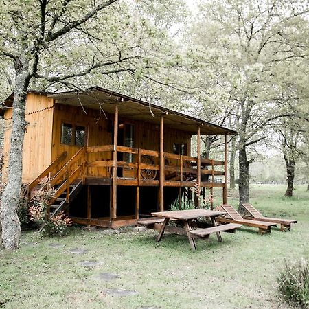 Le Ranch Amadeus Bed & Breakfast Saint-Paul-en-Born Exterior foto