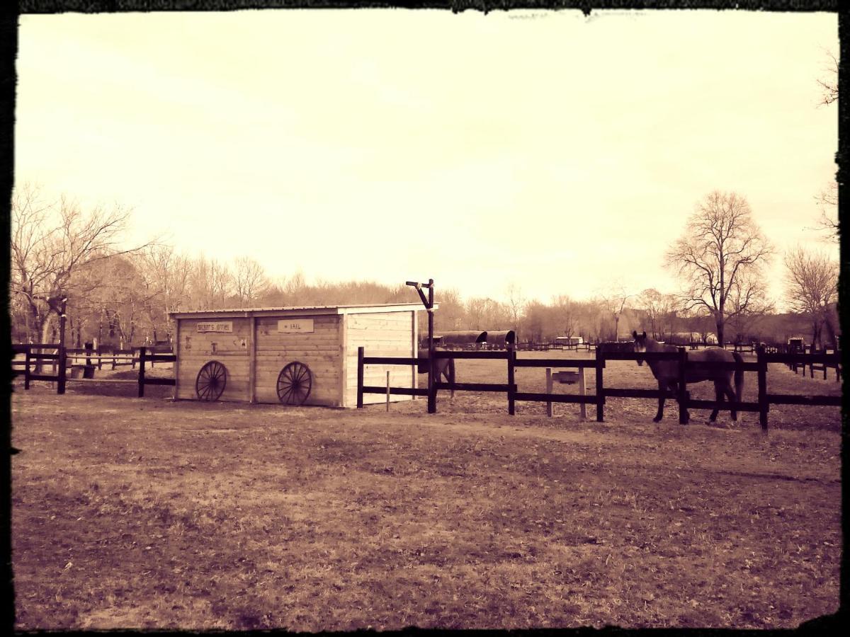 Le Ranch Amadeus Bed & Breakfast Saint-Paul-en-Born Exterior foto