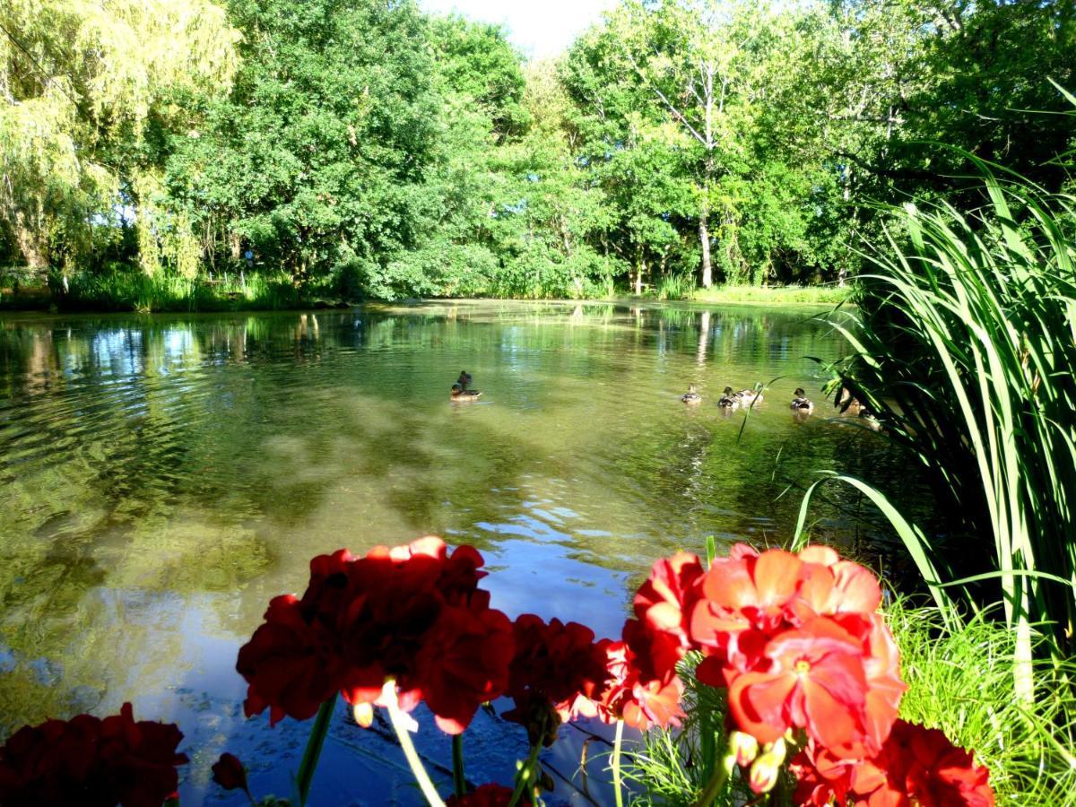 Le Ranch Amadeus Bed & Breakfast Saint-Paul-en-Born Exterior foto