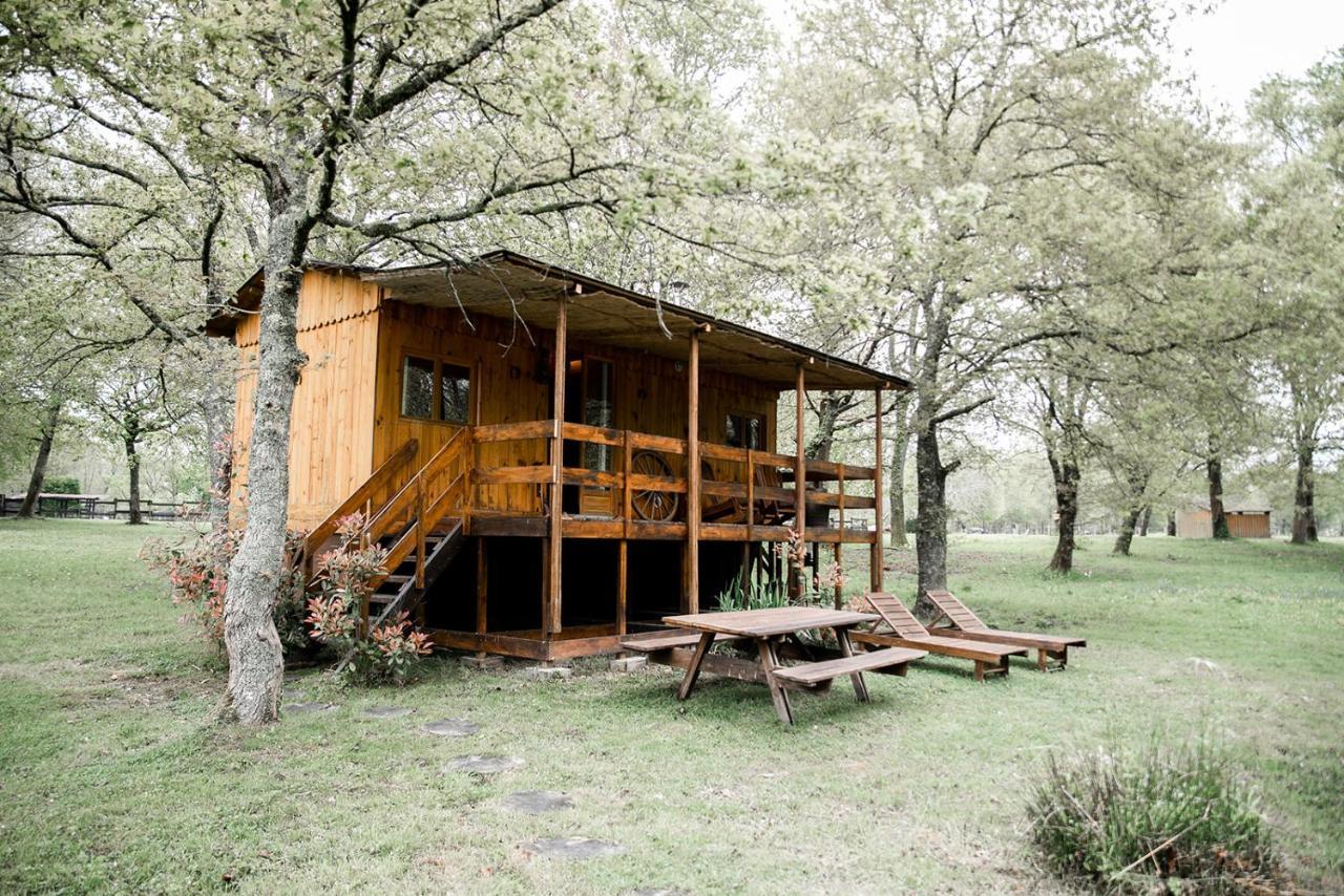 Le Ranch Amadeus Bed & Breakfast Saint-Paul-en-Born Exterior foto