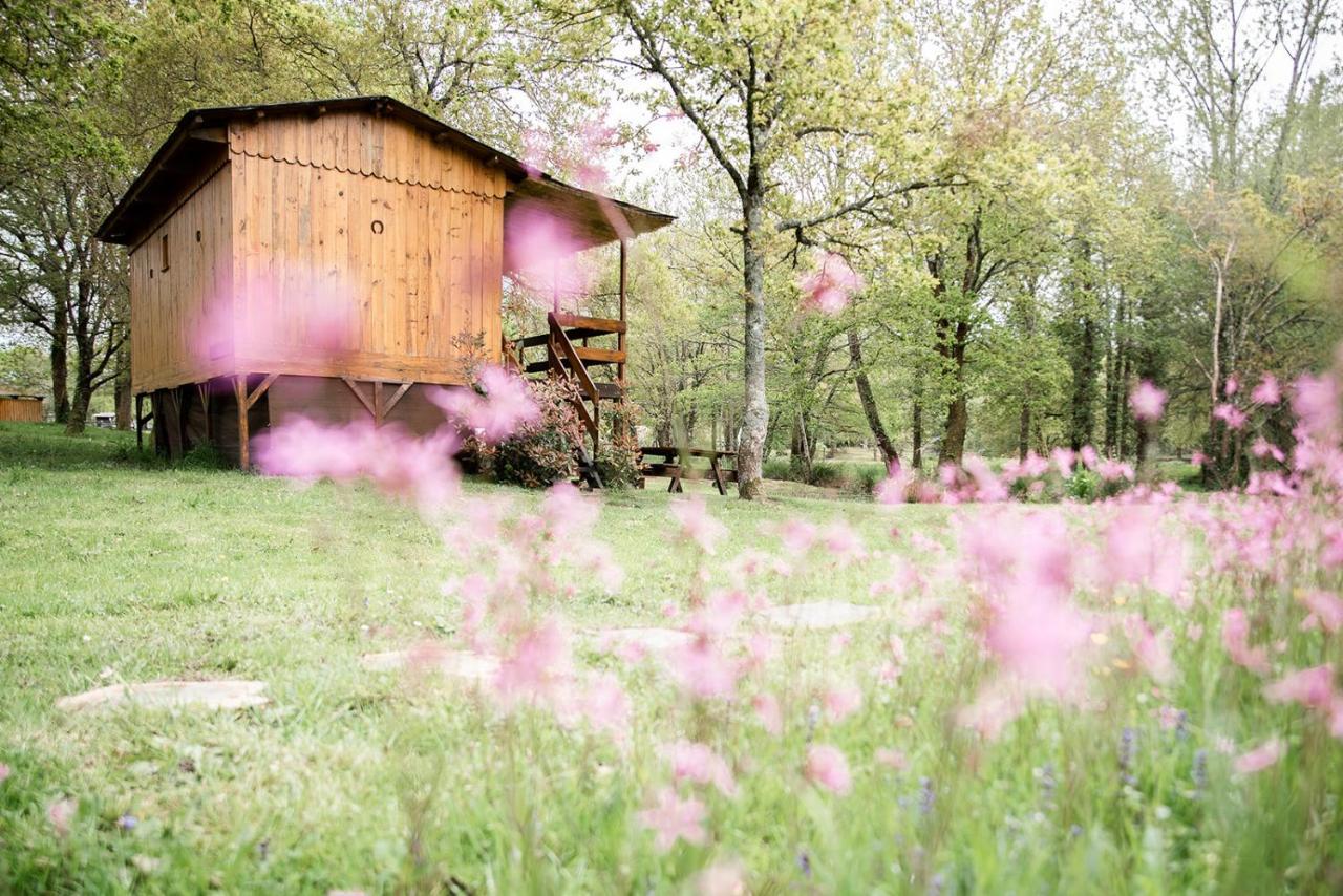 Le Ranch Amadeus Bed & Breakfast Saint-Paul-en-Born Exterior foto