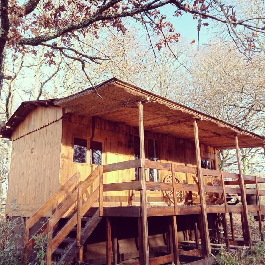 Le Ranch Amadeus Bed & Breakfast Saint-Paul-en-Born Exterior foto