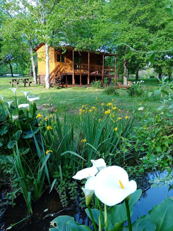 Le Ranch Amadeus Bed & Breakfast Saint-Paul-en-Born Exterior foto