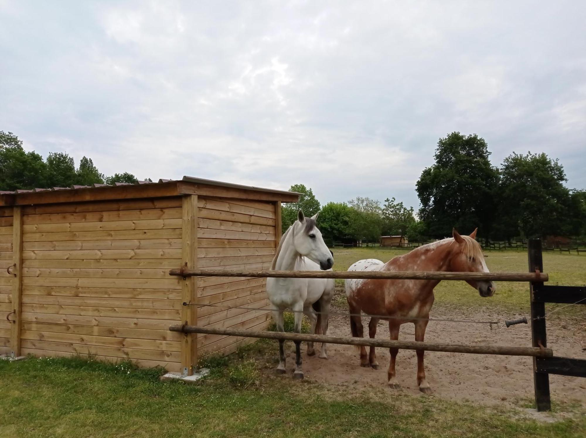Le Ranch Amadeus Bed & Breakfast Saint-Paul-en-Born Exterior foto