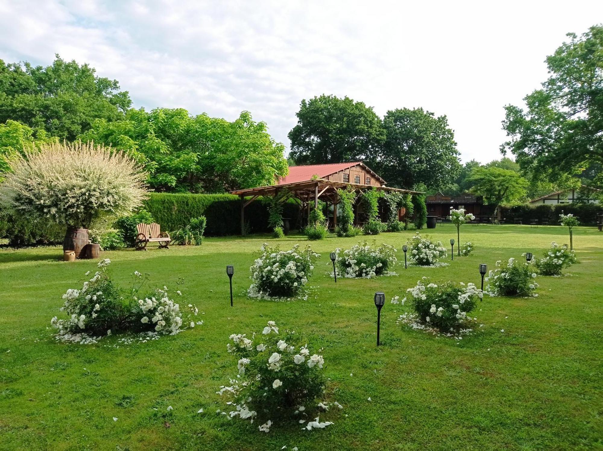 Le Ranch Amadeus Bed & Breakfast Saint-Paul-en-Born Exterior foto